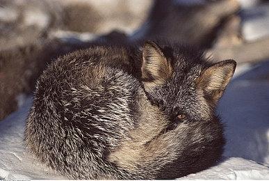 KK官方对战平台《黑暗时代》火热上线！爆爽地牢刷宝，重温当年经典!