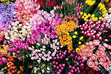 网易财报透露《漫威争锋》即将与其他媒体进行联动